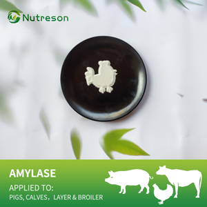 Amylase