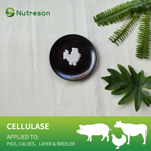 cellulase