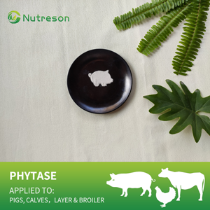 phytase in poultry feed