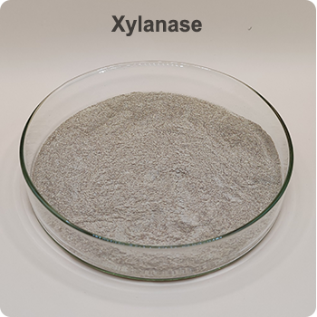 xylanase enzyme in poultry feed