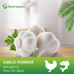 garlic powder feed grade