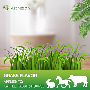 grass flavor for cattle