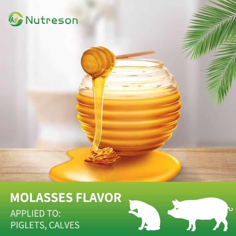 Molasses Flavor