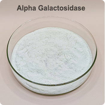 alpha-galactosidase a