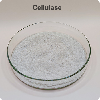 Cellulase for cows feed