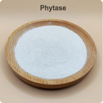 Phytase for Layers 