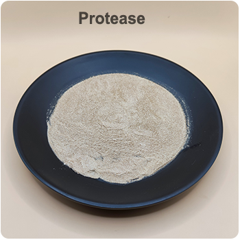 Neutral Protease