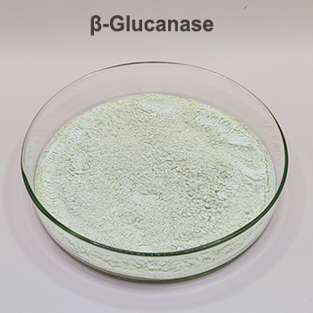 β-glucanase for Piglets